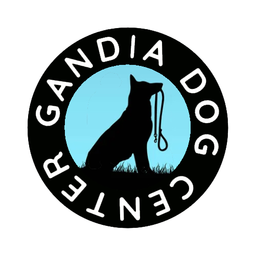 Gandia Dog Center png